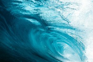 The Transformative Power of Policy