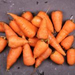 Tracing the Roots of Mediterranean Cuisine’s Health Benefits