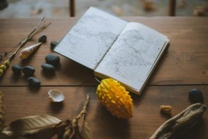 Exploring the History and Cultural Importance of the Banjo