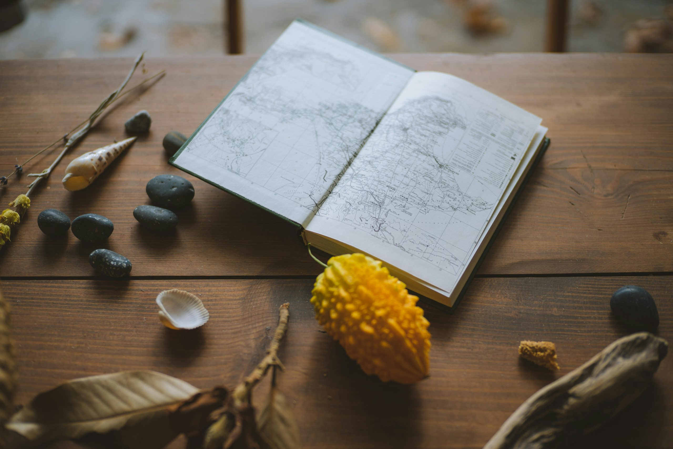 Exploring the History and Cultural Importance of the Banjo