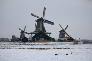 Revolutionary Preservation Techniques Used by Iconic Chefs