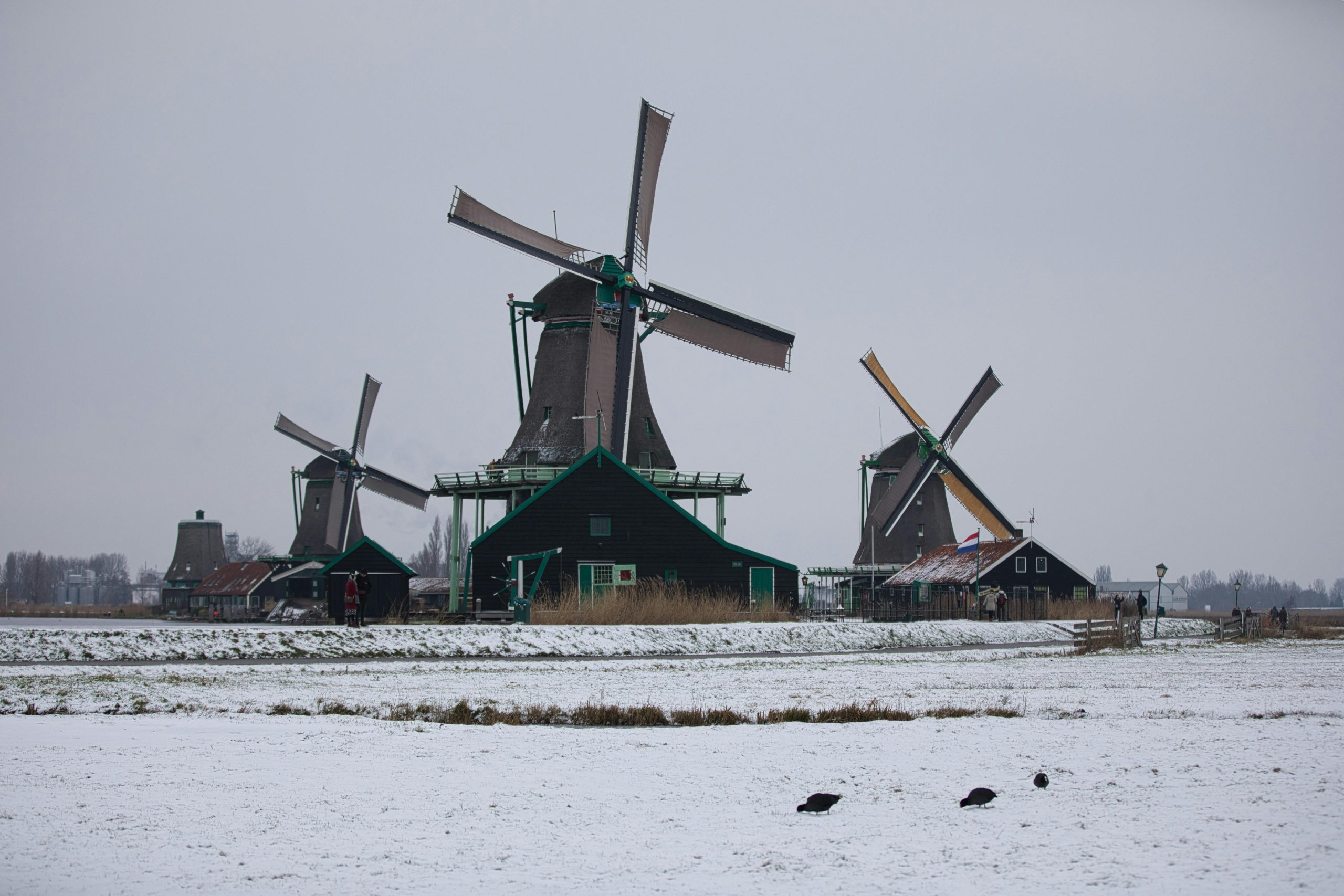 Revolutionary Preservation Techniques Used by Iconic Chefs