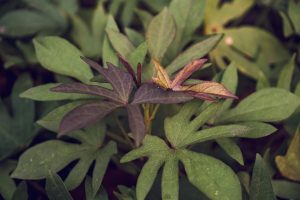 Why Proper Ventilation Matters for a Healthy Kitchen Environment