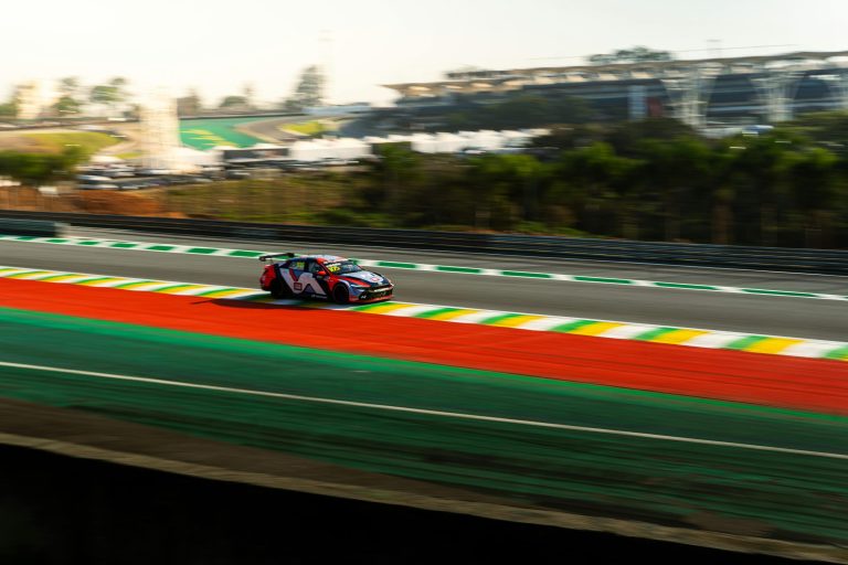 The Art and Science of Professional Race Car Driving Simulation