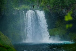 The Psychological Thrill of Anticipation in Musical Suspense