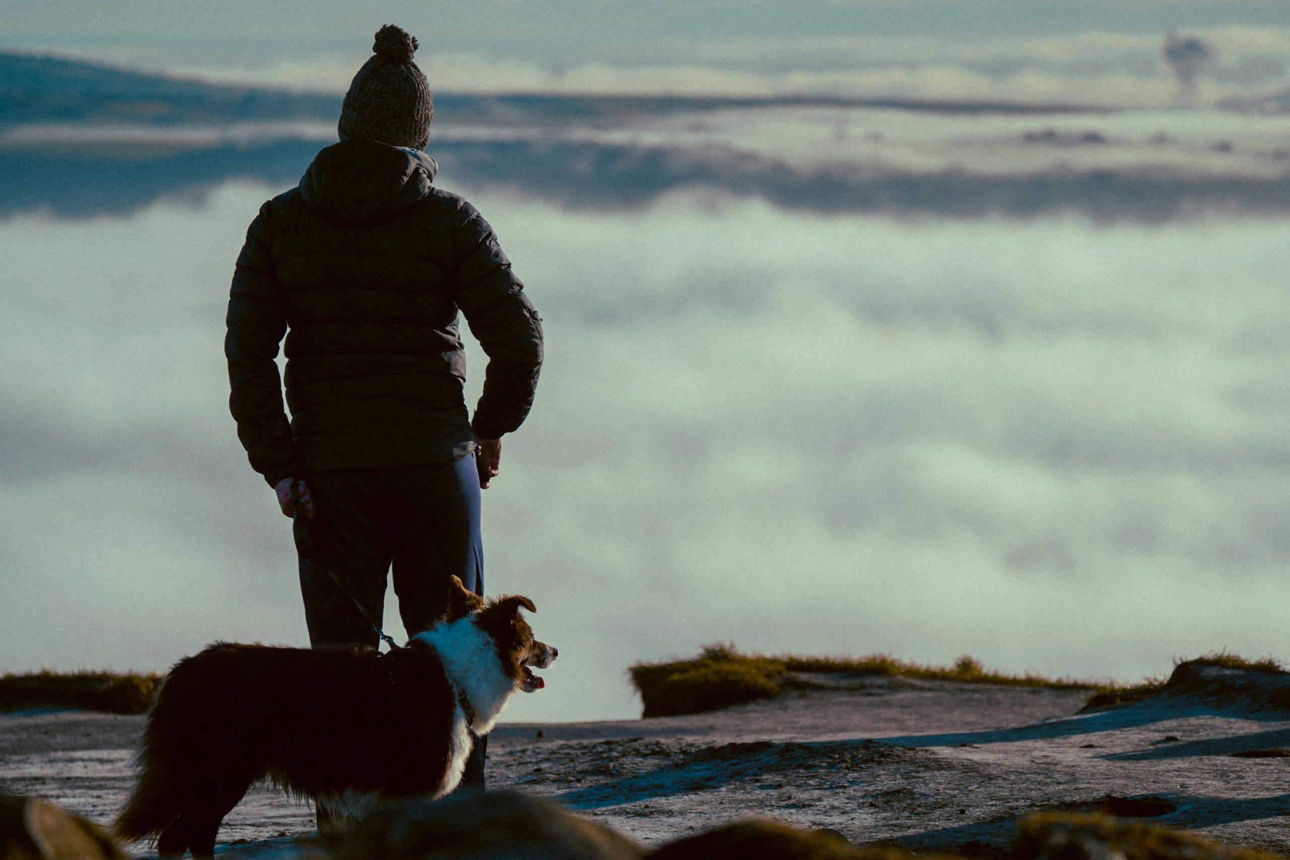 Exploring the Best Legal Practices