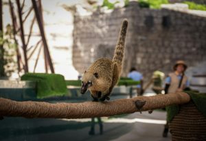 Exploring Subscription Boxes: Are They Worth the Monthly Cost